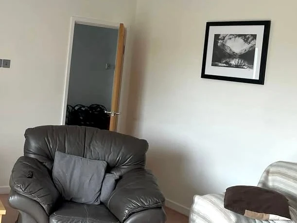 living-room-painting-painted-living-room-swansea-daffodil-decor living room painting painted living room swansea daffodil decor